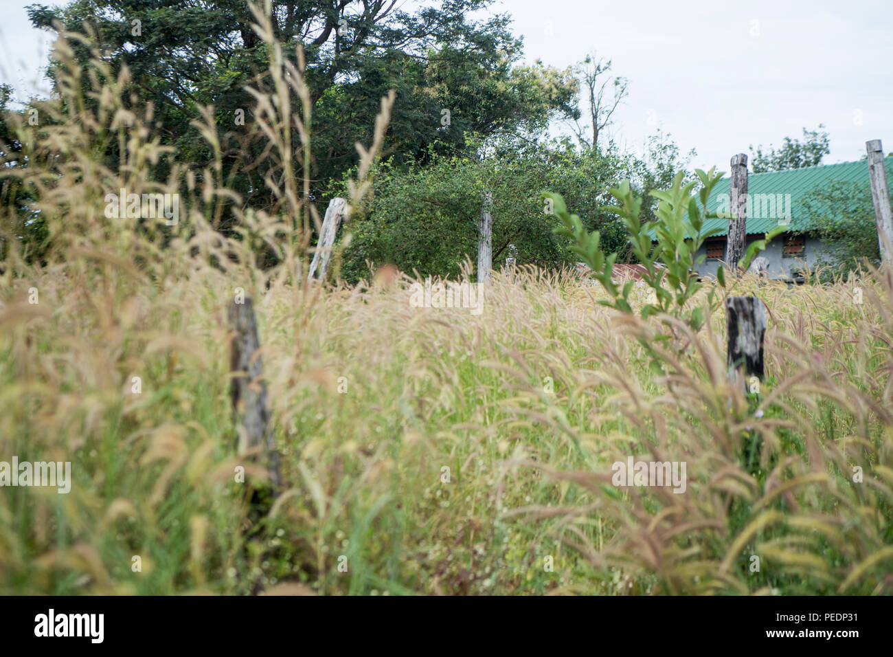 Il luogo di cremazione di Pol Pot nella città di Choam e a nord della città di Anlong Veng in provincia di Oddar Meanchey Northwaest in Cambogia. Ca Foto Stock