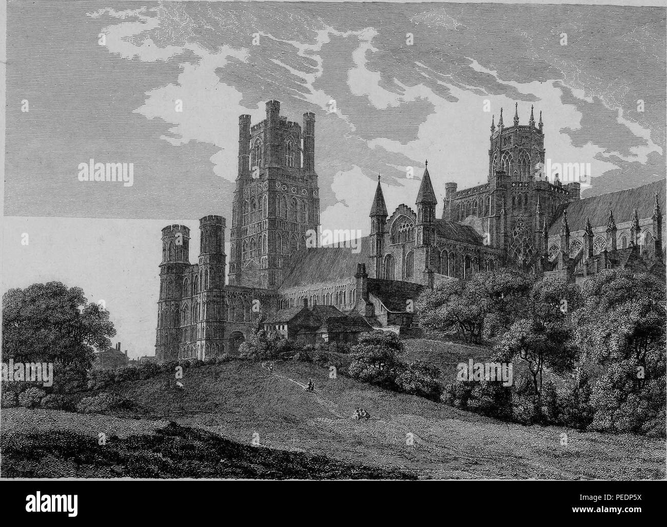 Stampa in bianco e nero che mostra un angolo di visualizzazione della facciata esterna di 'Cattedrale di Ely, ' un stile romanico e gotico cattedrale anglicana si trova nella città di Ely, Cambridgeshire, Inghilterra, con dolci colline e gli alberi in primo piano, inciso da William Byrne dopo un disegno da Hearne T, 1825. La cortesia Internet Archive. () Foto Stock