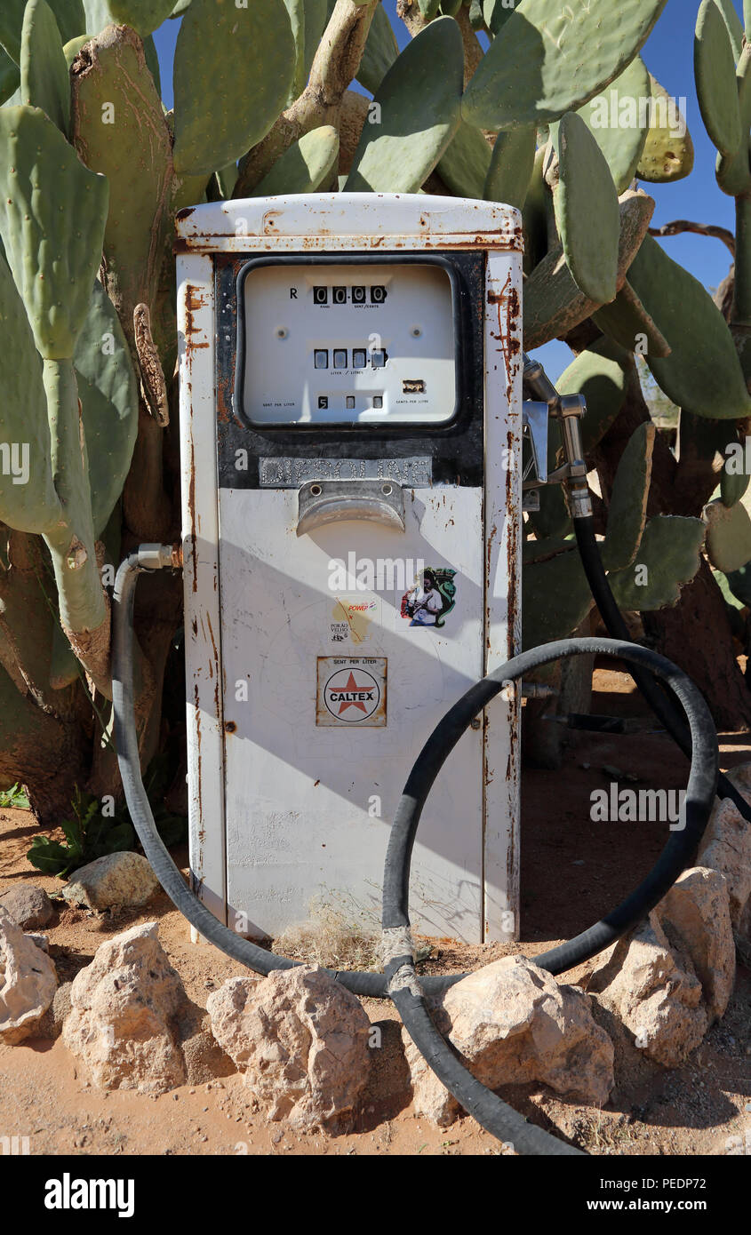Ficodindia cactus (Opuntia stricta) circondano una vecchia pompa di benzina in solitario, Namibia. Foto Stock