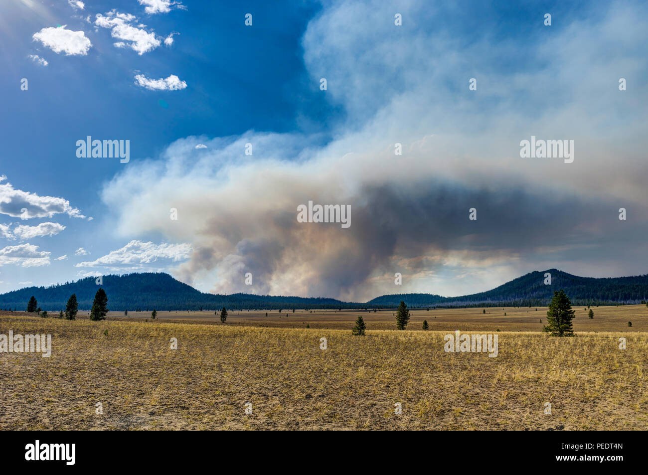 Foto scattata in Stati Uniti d'America. Foto Stock