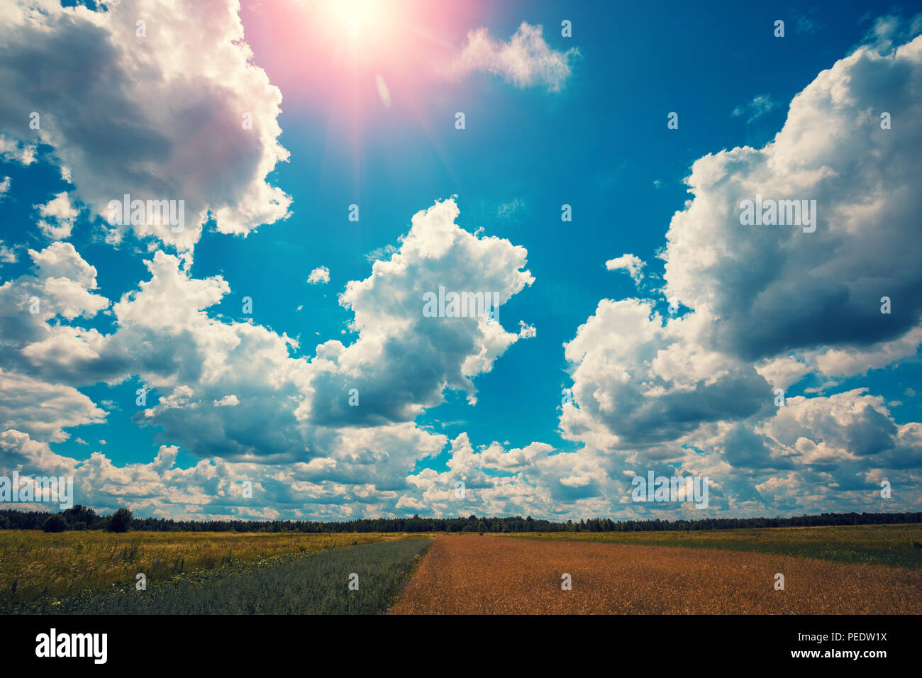 I campi in campagna con un bel cielo nuvoloso su un luminoso giorno di sole Foto Stock