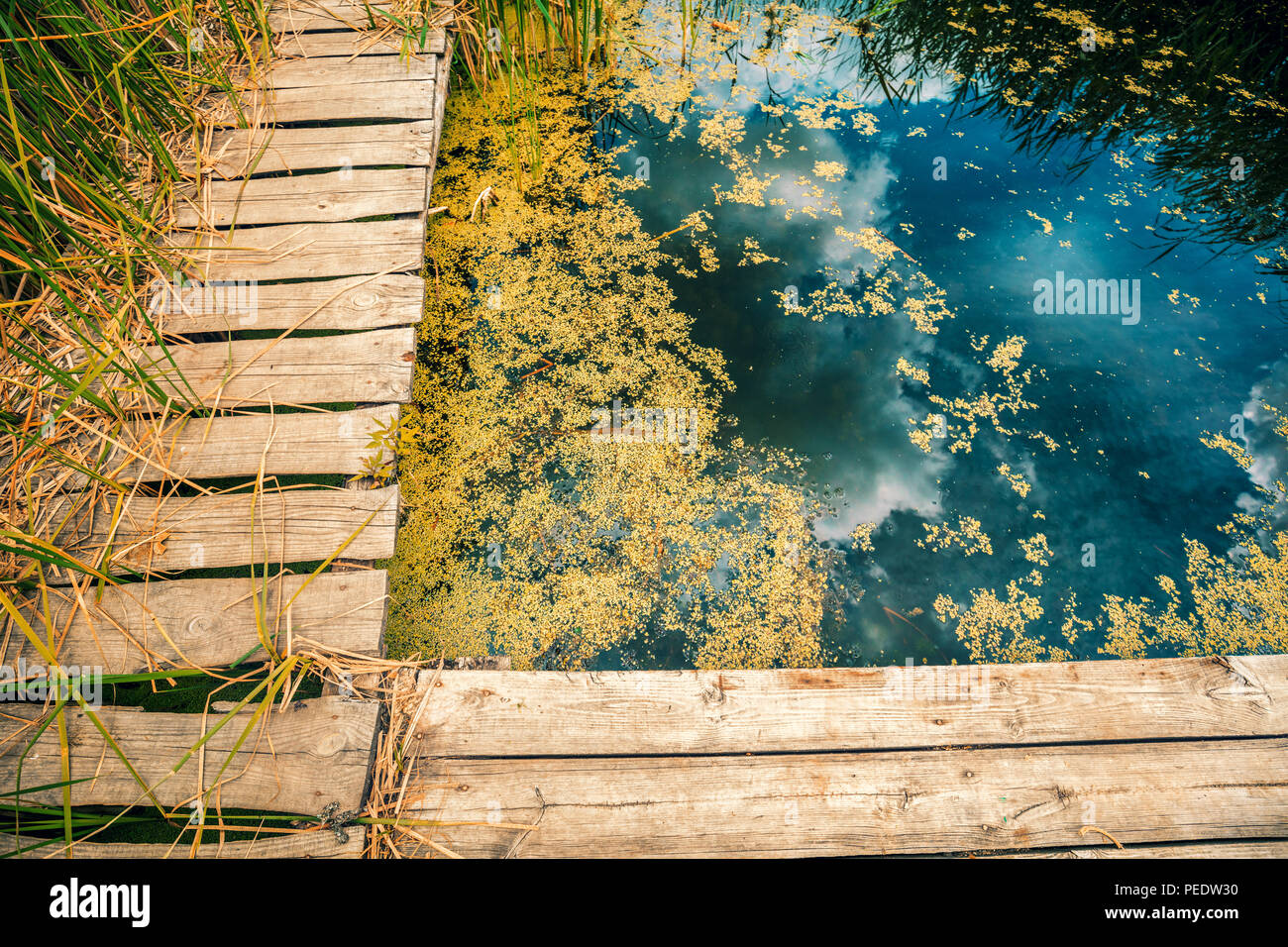 Lakeshore con molo in legno. La bellissima natura della Finlandia Foto Stock