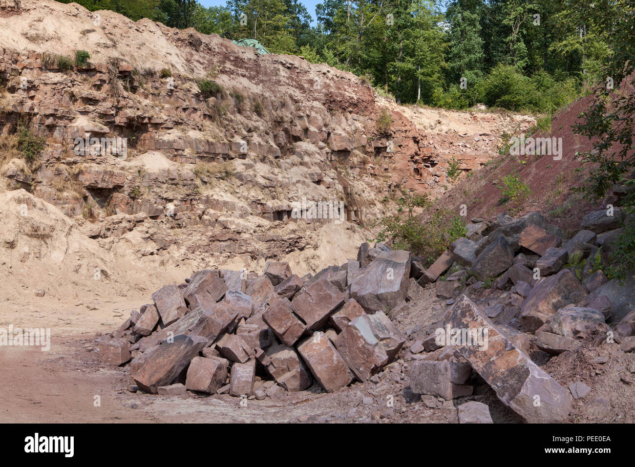 Una cava di pietra arenaria rossa, Bad Karlshafen, Superiore Valle Weser, Weser Uplands, Weserbergland, Reinhardswald, Hesse, Germania, Europa Foto Stock