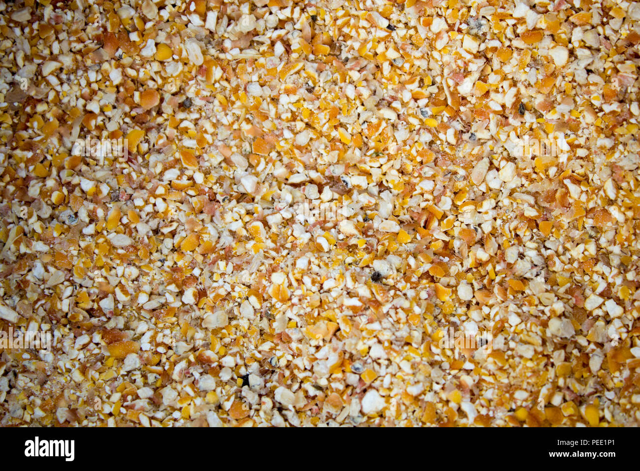 Crusca di mais, macinare il grano e foraggio per gli animali della fattoria Foto Stock