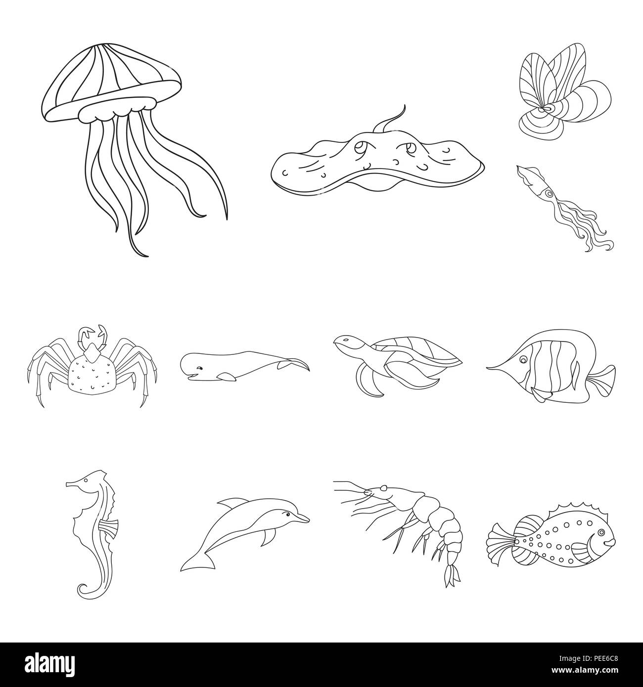 Una varietà di animali marini delineare le icone nella raccolta di set per il design. Pesci e crostacei simbolo vettore illustrazione stock. Illustrazione Vettoriale