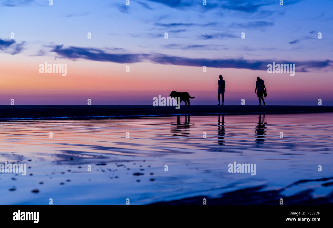 Stagliano giovane passeggiate con il cane sulla spiaggia al tramonto con riflessi nell'acqua, Noordwijk, Paesi Bassi - con copia spazio. Foto scattata sul Foto Stock