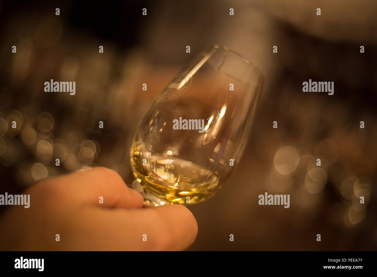 Scottish single malt whisky la sessione di degustazione. Foto Stock