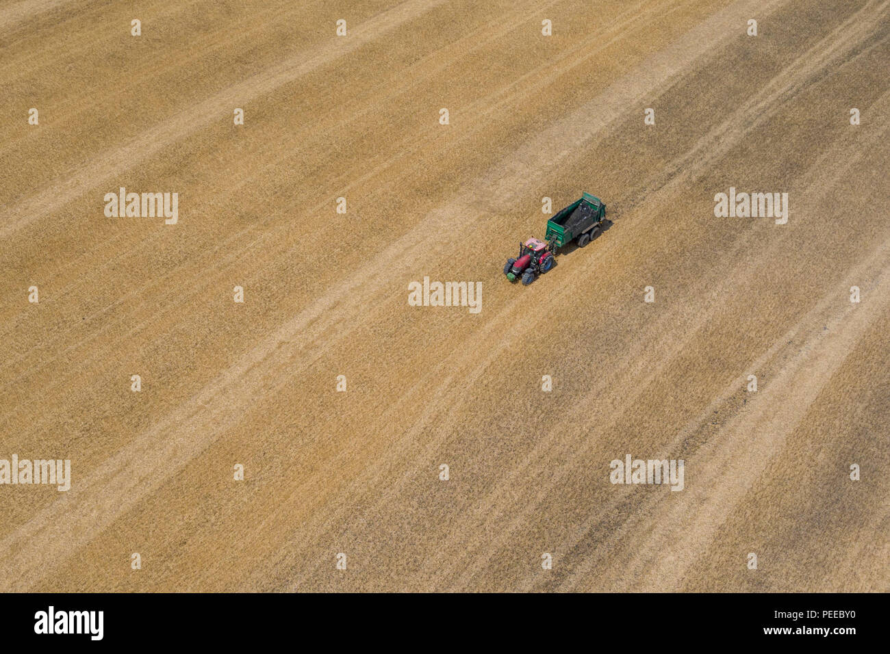 Le foto aeree di trattori spargimento del concime organico durante il raccolto estivo nel Kent, Regno Unito Foto Stock
