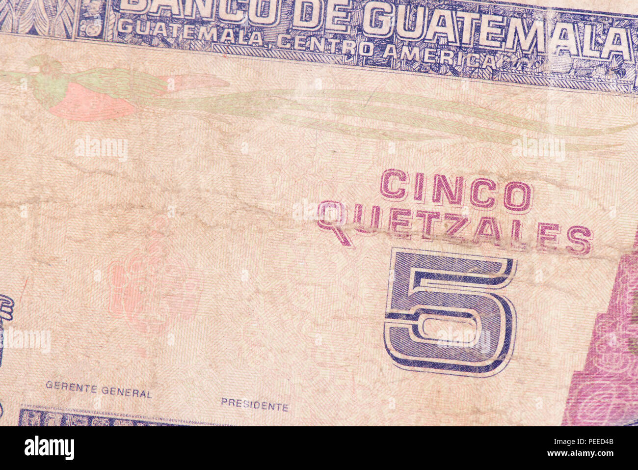 Close up dettaglio Guatemala carta moneta Foto Stock