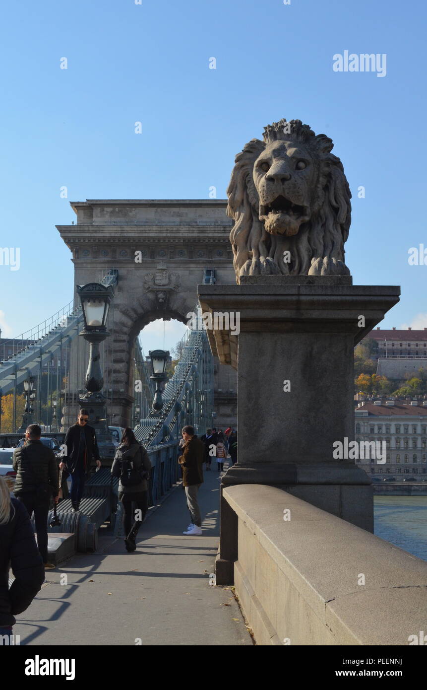Statua di Lion sul Ponte delle catene a Budapest, Ungheria, costruito nel 1849 - uno dei più grandi ponti di sospensione del suo tempo, progettato da William Tierney Clark Foto Stock