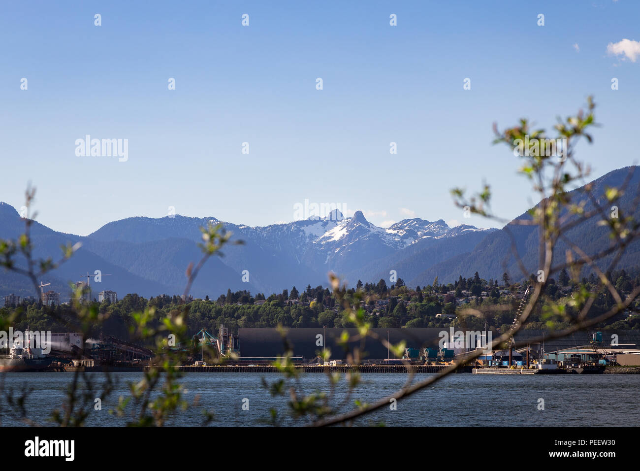 I Lions situato in Vancouver North Shore Mountains incorniciata da rami di alberi. Foto Stock