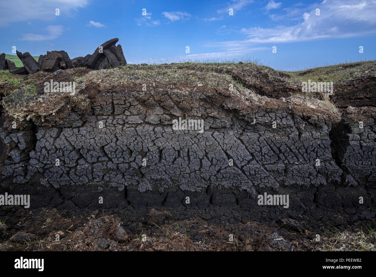 Sezione trasversale della brughiera che mostra la vegetazione cariati / moss e pile di raccolte torba essiccazione per essere usato come combustibile tradizionale, Shetland, Scotland, Regno Unito Foto Stock