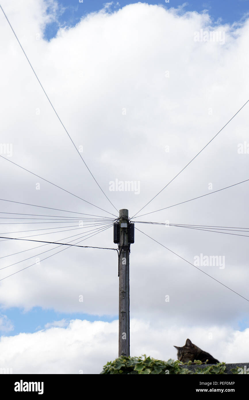 Fili di overhead da un palo del telegrafo Foto Stock