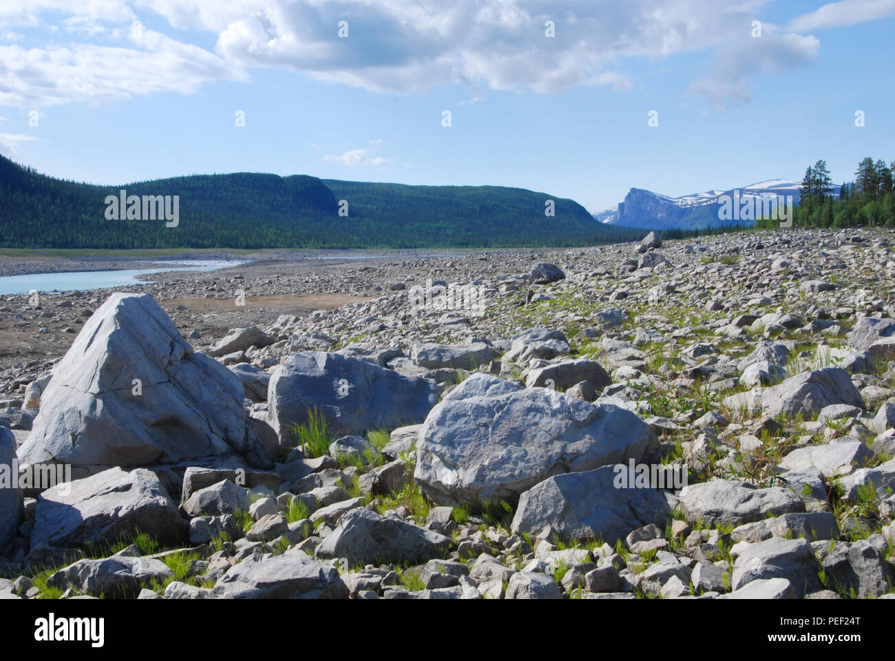 Spiaggia rocciosa di (dammed) lago Tjaktjajaure. Jokkmokk, Norbotten, Svezia. 28.6.2009 Foto Stock