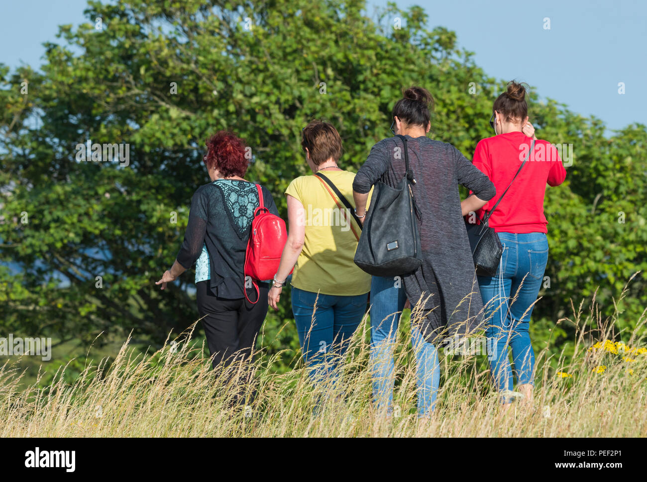Piccolo gruppo di donne di mezza età facendo una passeggiata serale nella campagna nel Regno Unito. Medio di età compresa tra amici. Foto Stock