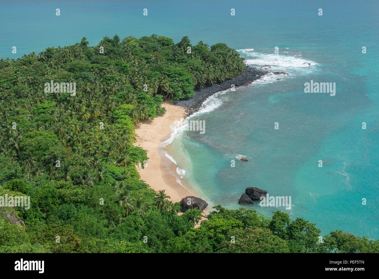 Banana-Beach, fitta vegetazione, isola Príncipe São Tomé e Príncipe Foto Stock