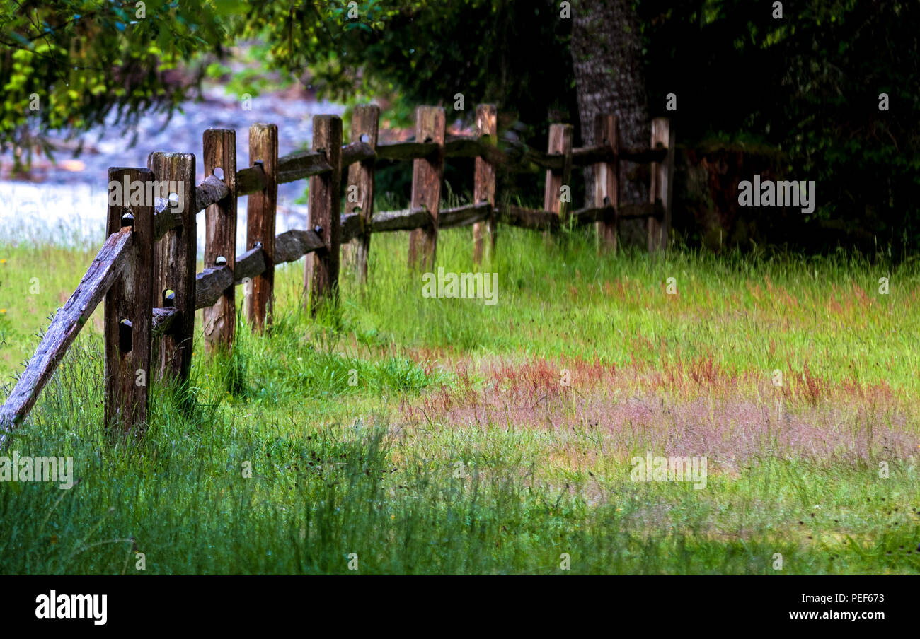 Il vecchio paese di legno recinzione in un campo con erba e un fiume dietro con alberi Foto Stock