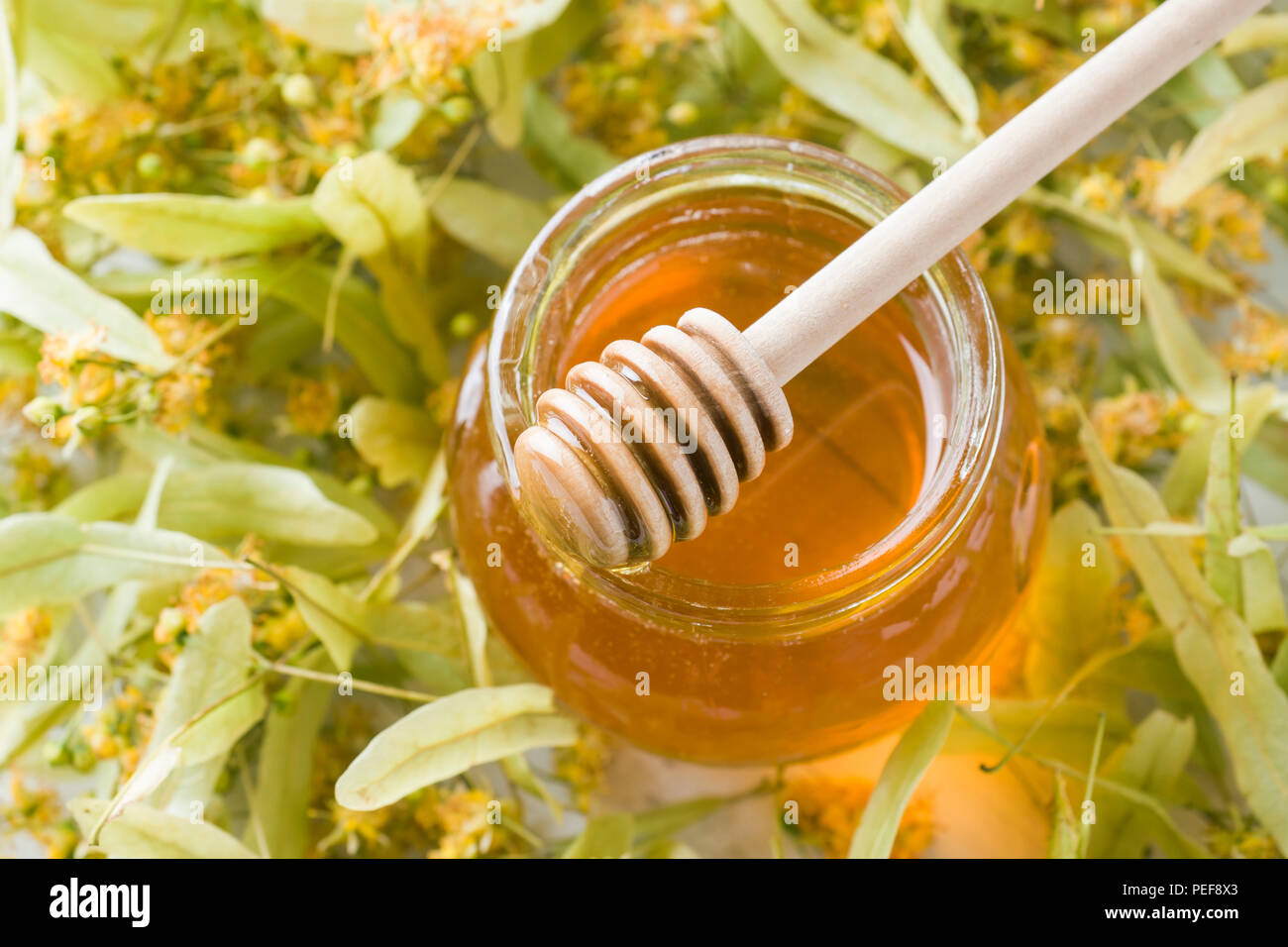 Il vasetto di vetro di miele sullo sfondo di fiori di tiglio Foto Stock