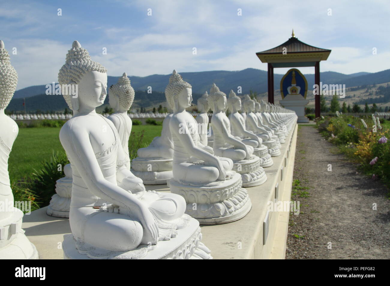 Giardino di 1000 Budda, Jocko Valley, Western Montana, USA Foto Stock