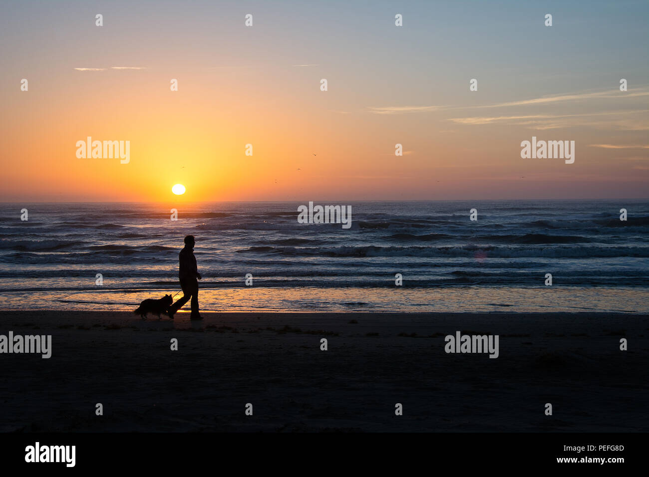 Un uomo e il suo cane passeggiando su una spiaggia sul Texas Gulf Coast presso sunrise Foto Stock