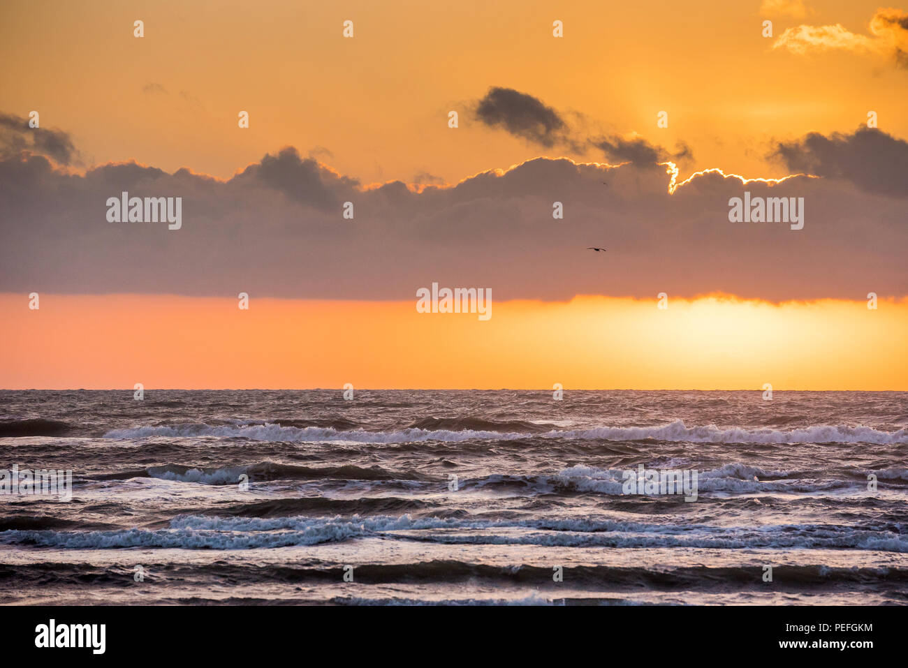 Sulla spiaggia di Texas Gulf Coast presso sunrise Foto Stock