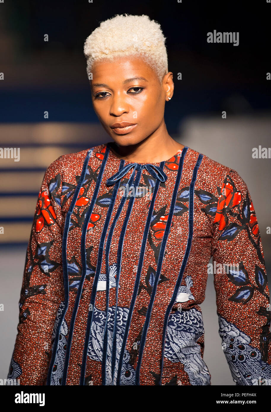 Africa Fashion Show 2018. Modello immagini prese dalla fossa della pressa dal fotografo Steve Mack per AfricanHair.com Foto Stock