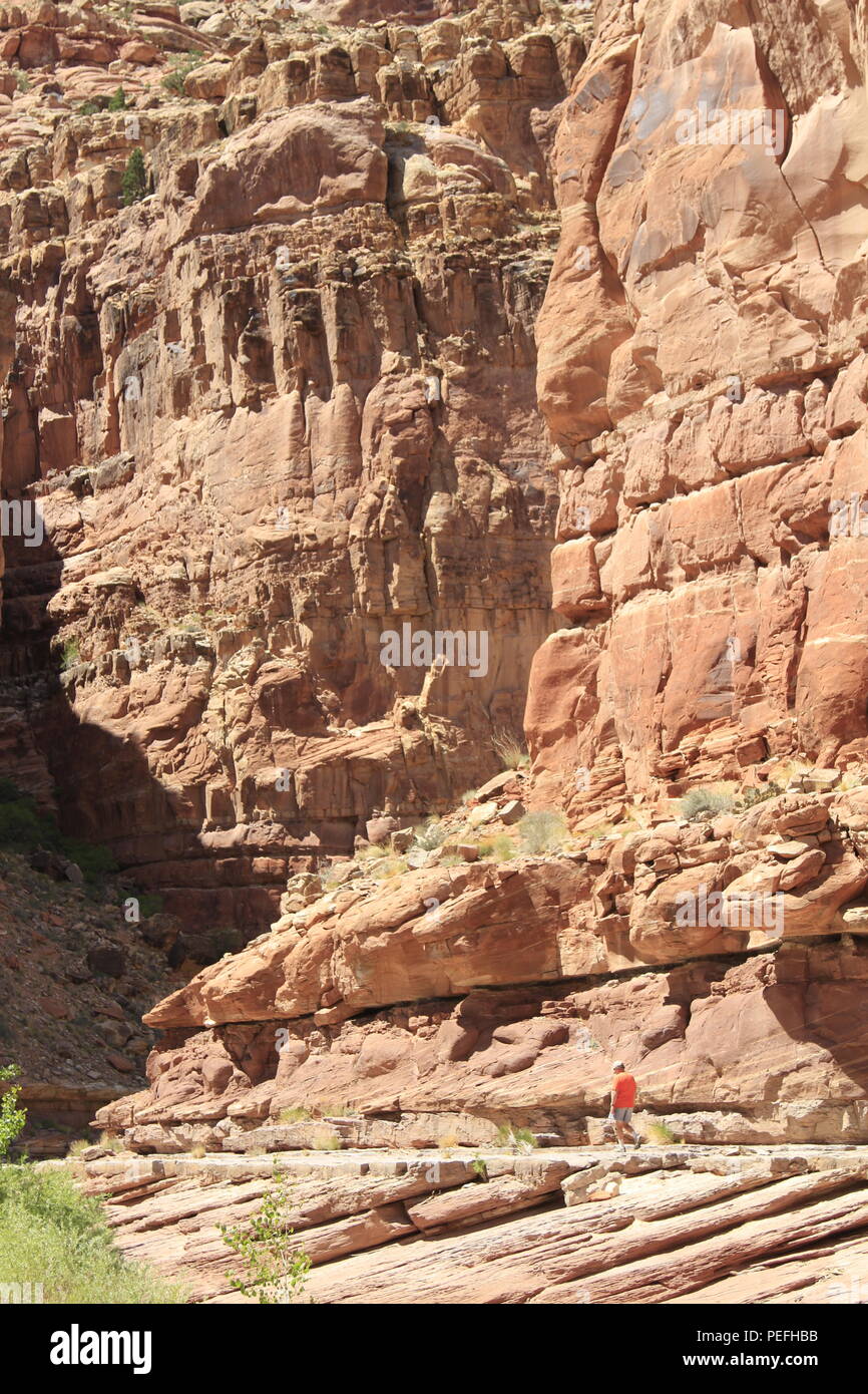 Dark Canyon deserto, porta le orecchie del monumento nazionale, Utah Foto Stock