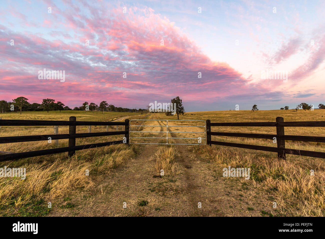 Tramonto cielo colorato sul paddock di campagna e cancello in legno Foto Stock