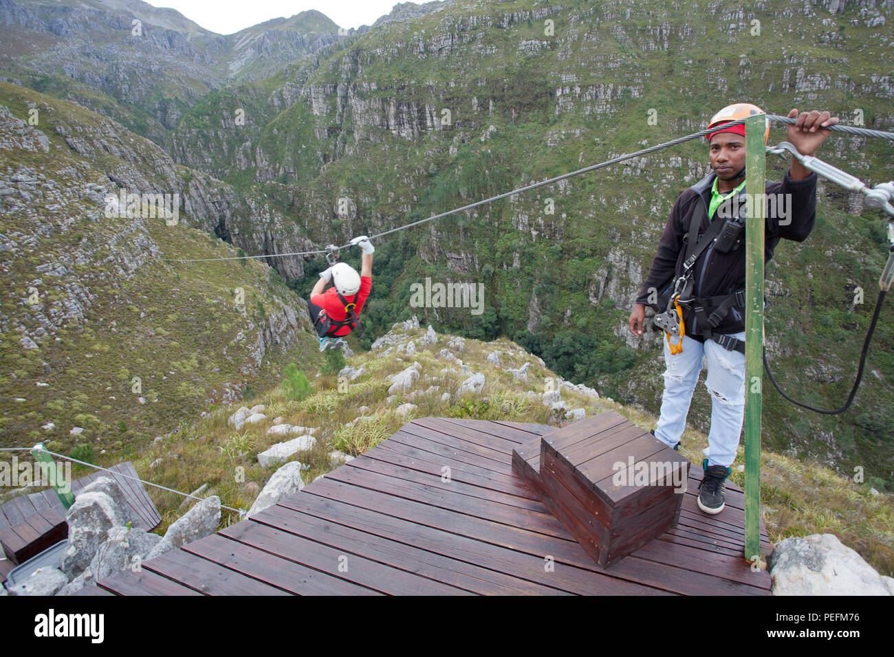 Zip fodera degli ottentotti Holland Riserva Naturale Forra di suicidio, Sud Africa Foto Stock