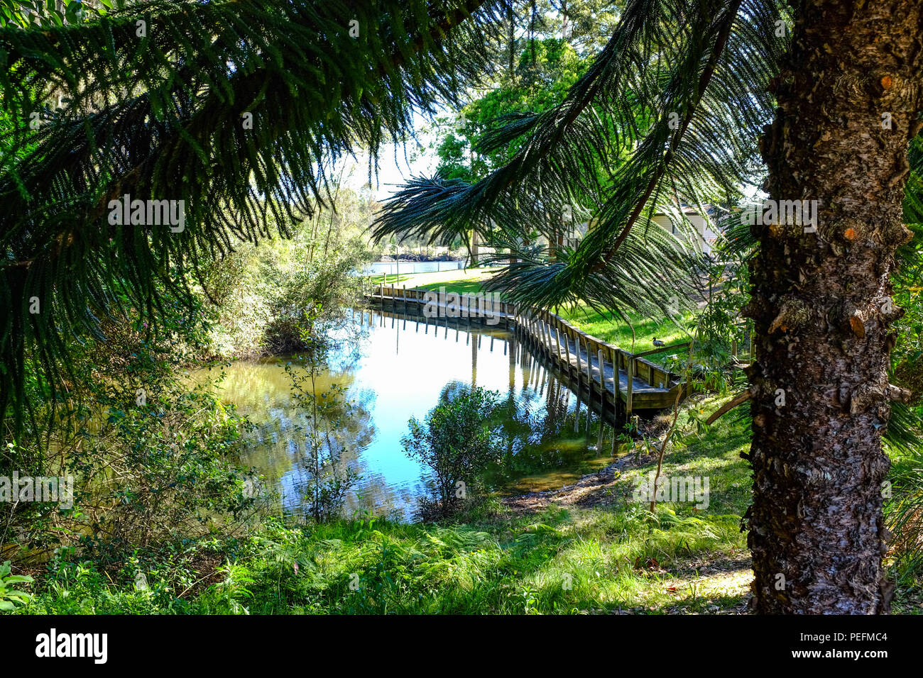 Vista della passerella di legno oltre il fiume attraverso il verde paesaggio Foto Stock