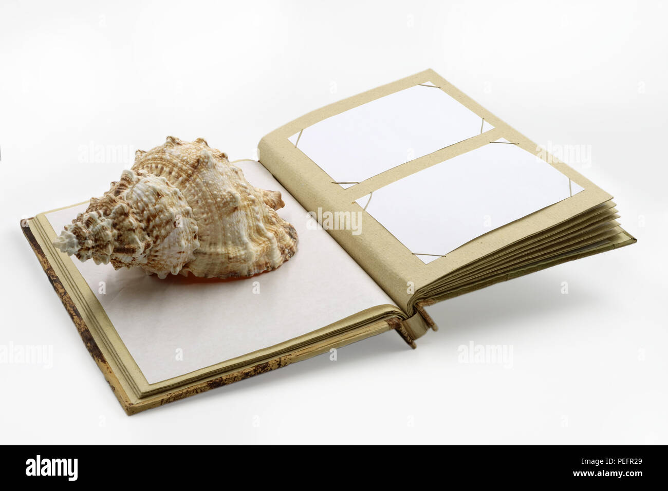 Apri diario o album di foto libro su sfondo bianco Foto Stock