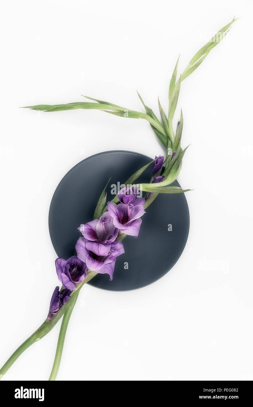 Due Gladioli, vista aerea Foto Stock