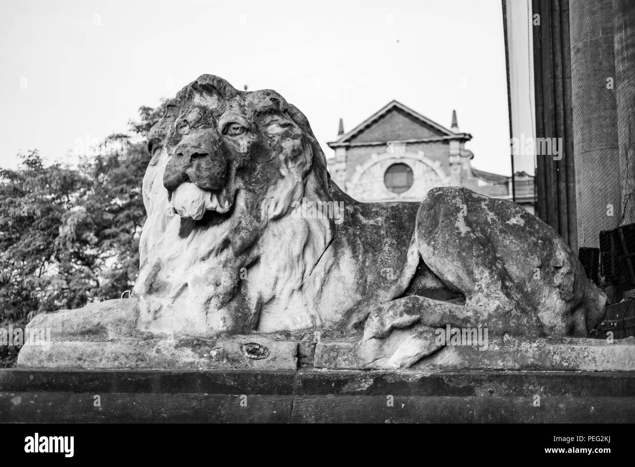 I Lions al di fuori di Leeds Town Hall, il Headrow, Leeds, West Yorkshire, Regno Unito Foto Stock