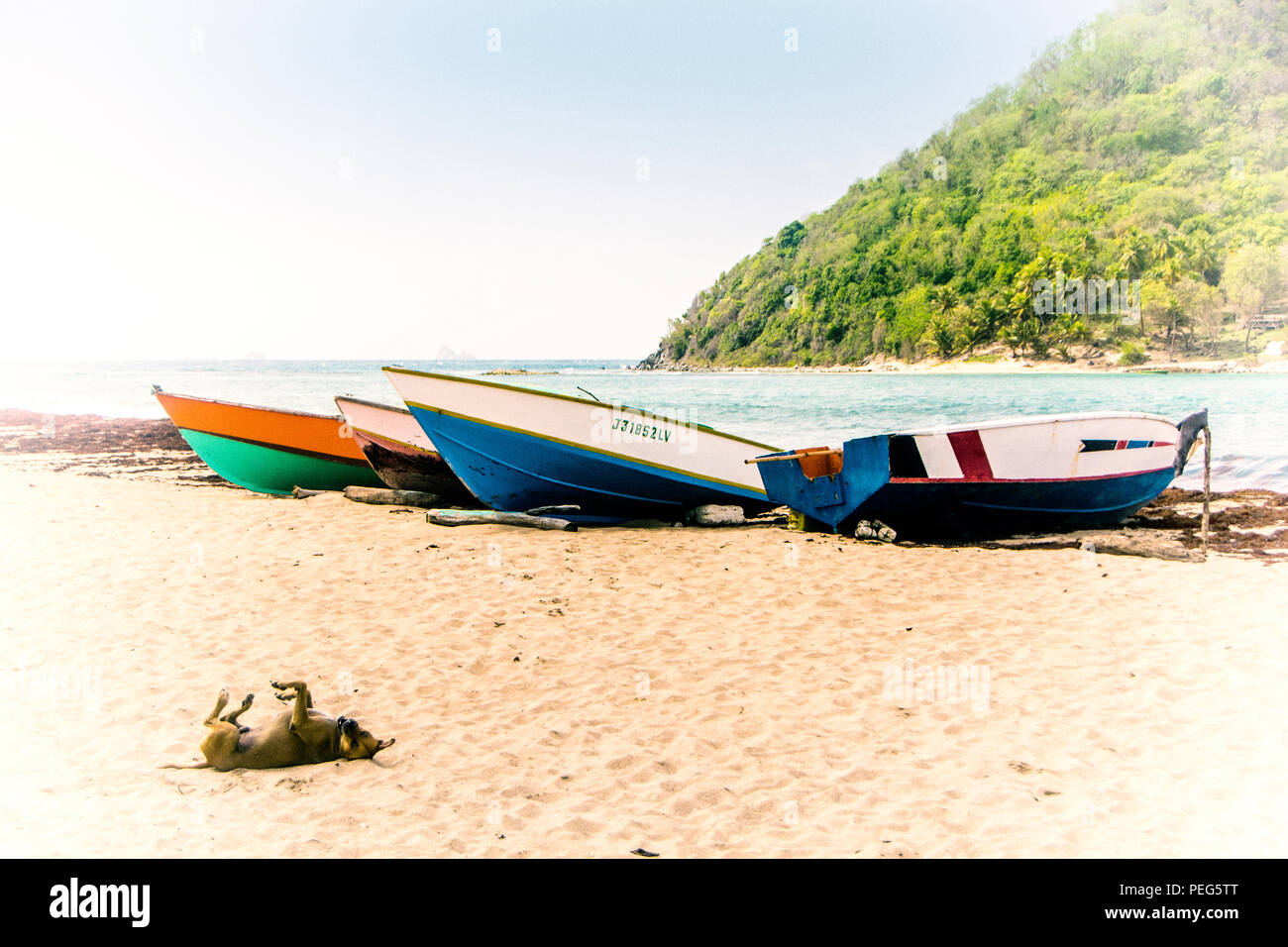 Spiaggia Levera, Isola di Grenada Foto Stock