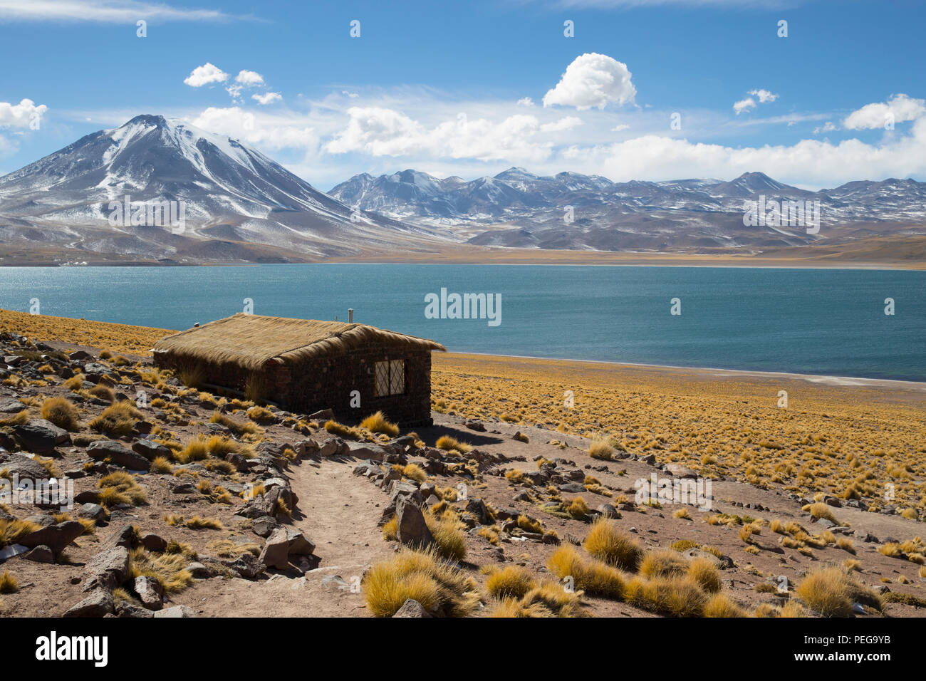 Laguna Miscanti, peperoncino Foto Stock