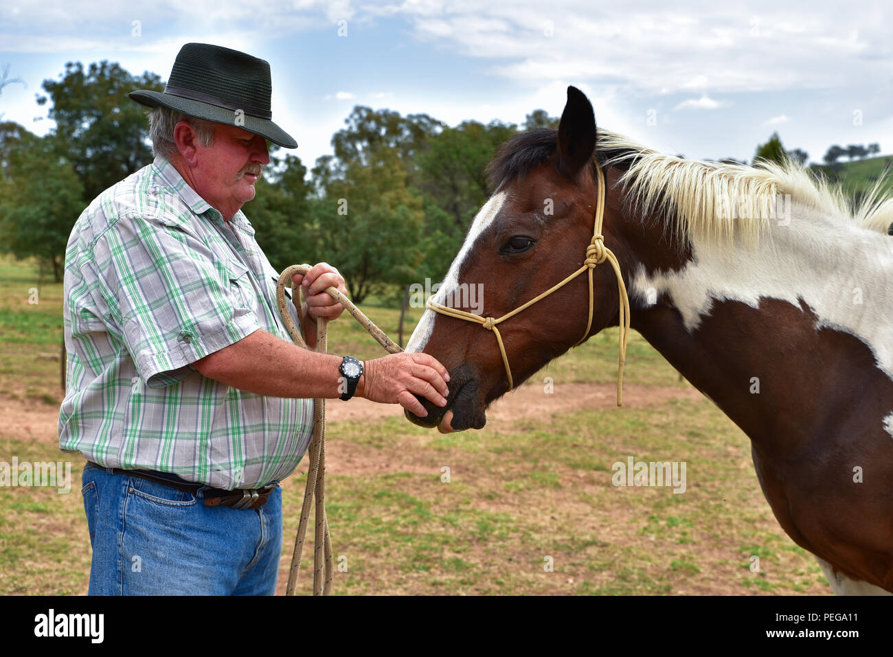 Cavallo e agricoltore Foto Stock