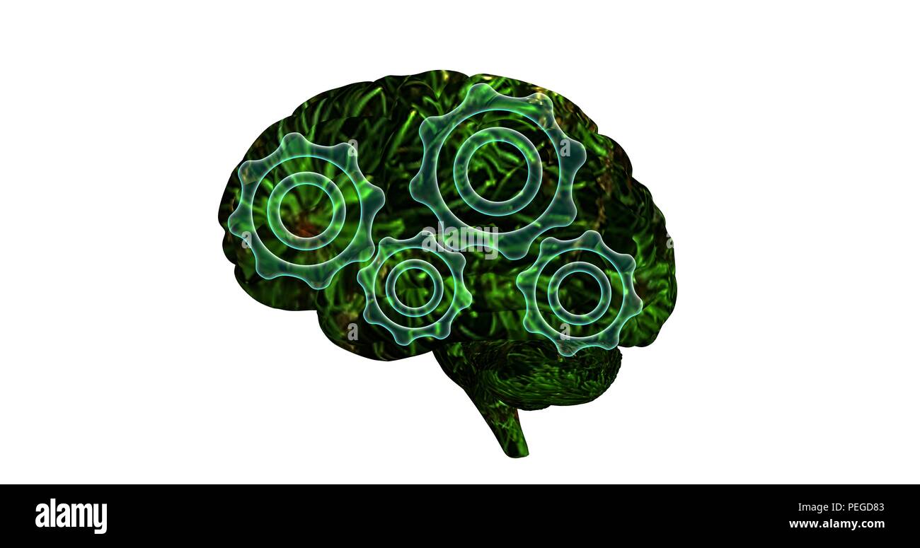 Attività cerebrale illustrazione. La forma del cervello umano con piante verdi e texture semi trasparente meccanismo di ingranaggi. 3D render Foto Stock