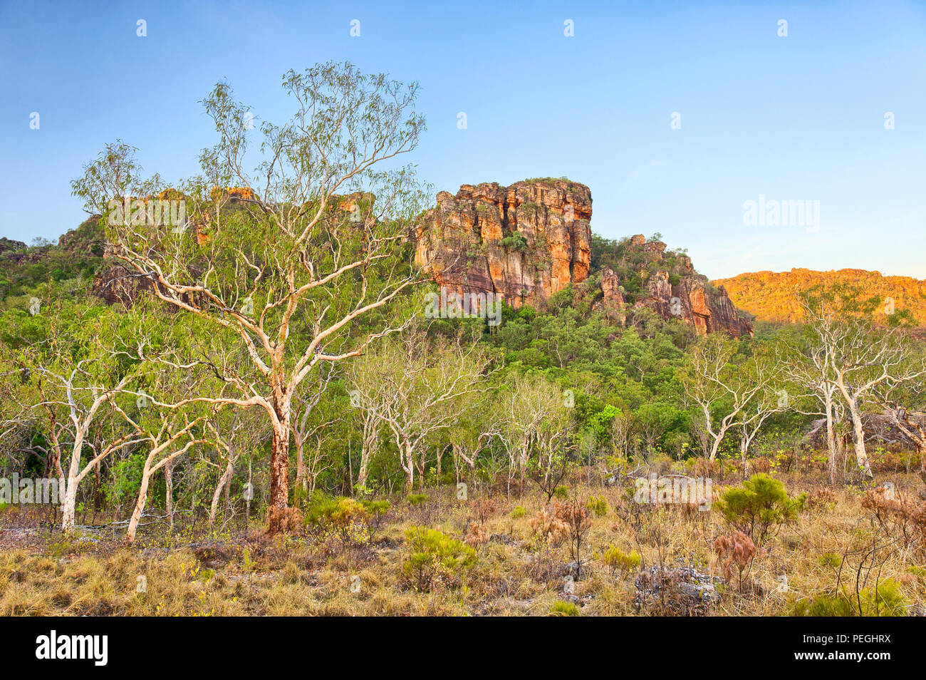 Deserto a Nourlangie Rock nel Parco Nazionale Kakadu, Territori del Nord, Australia Foto Stock