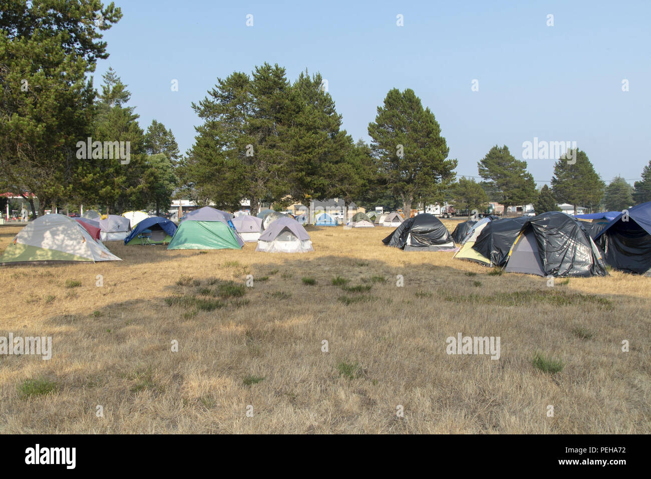 Shelton, Washington DC, Stati Uniti d'America. Il 15 agosto 2018. Incendio Campo Base e operazioni di incidente per il fuoco di acero in Shelton Washington. Prese con media access e un pio escort Agosto 15 2018 Credit: Shawna Whelan/Alamy Live News Foto Stock