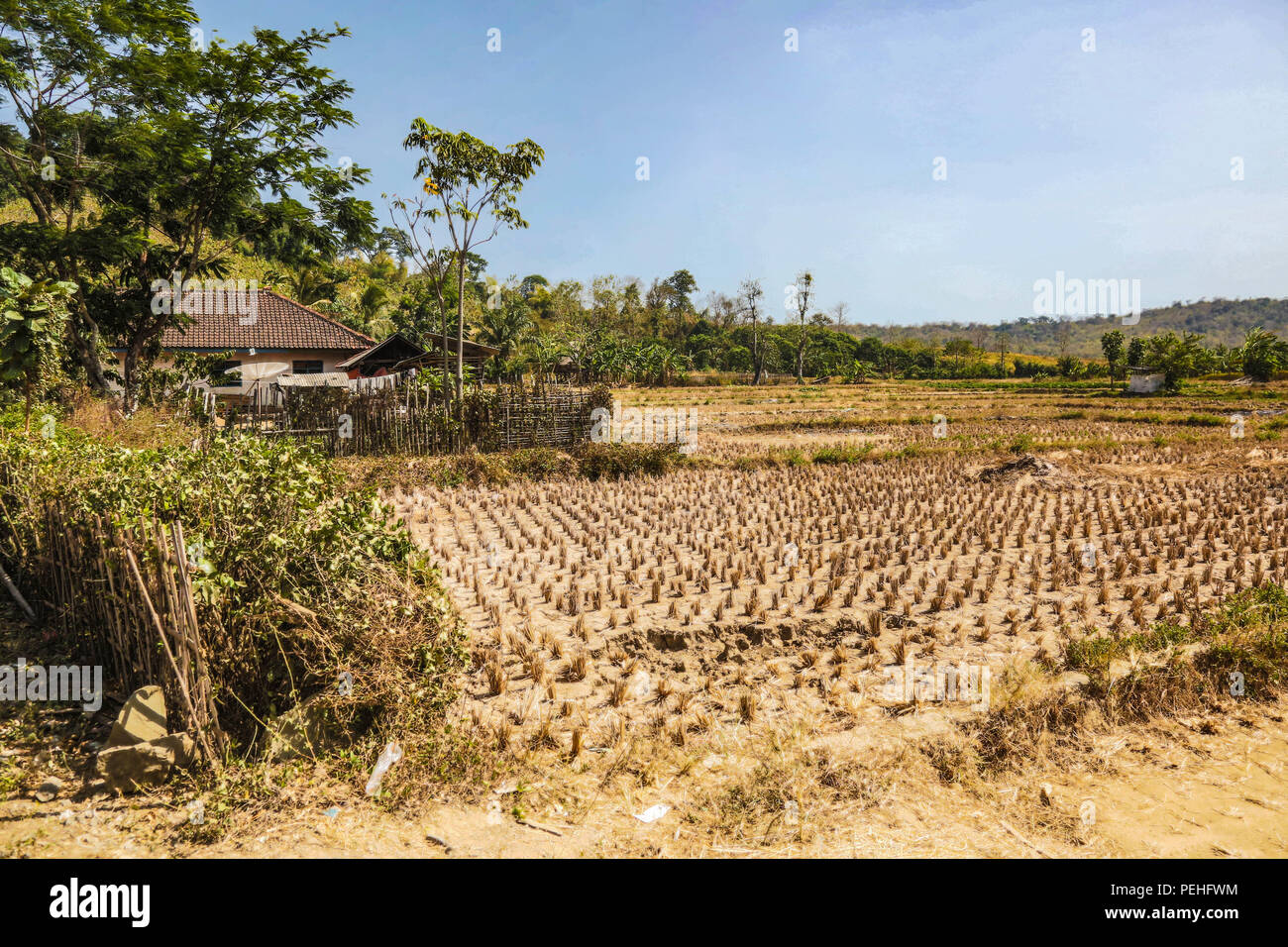 Terreni agricoli trovato alla Cibenda, West Java, Indonesia, Agosto 21, 2015. (U.S. Esercito Foto di Spc. Michael Sharp/rilasciato) Foto Stock