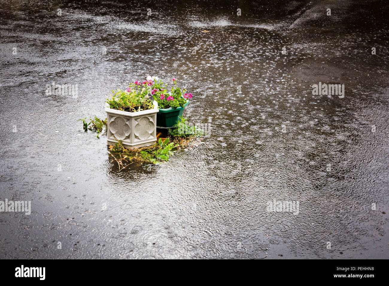 Flash allagamento del cortile privato con giardino in luglio NEL REGNO UNITO Foto Stock