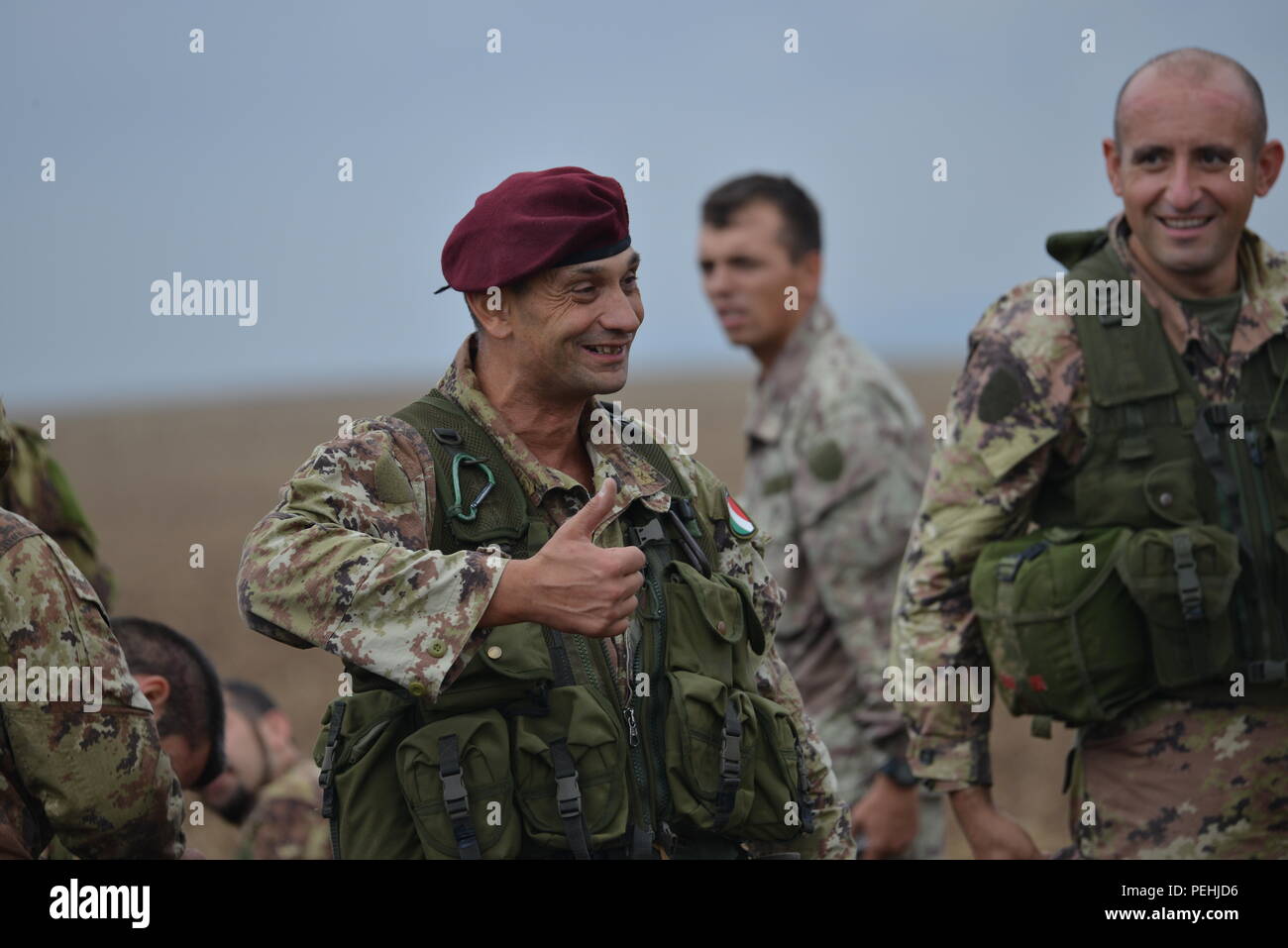 I paracadutisti italiani un salto nella zona di caduta di 'Alzey',vicino a Alzey, Germania, 24 agosto 2015. Questa operazione di aerei era parte di esercizio Risposta rapida 15 ( Stati Uniti Foto dell'esercito da Erich Backes, TSC Baumholder/rilasciato) Foto Stock