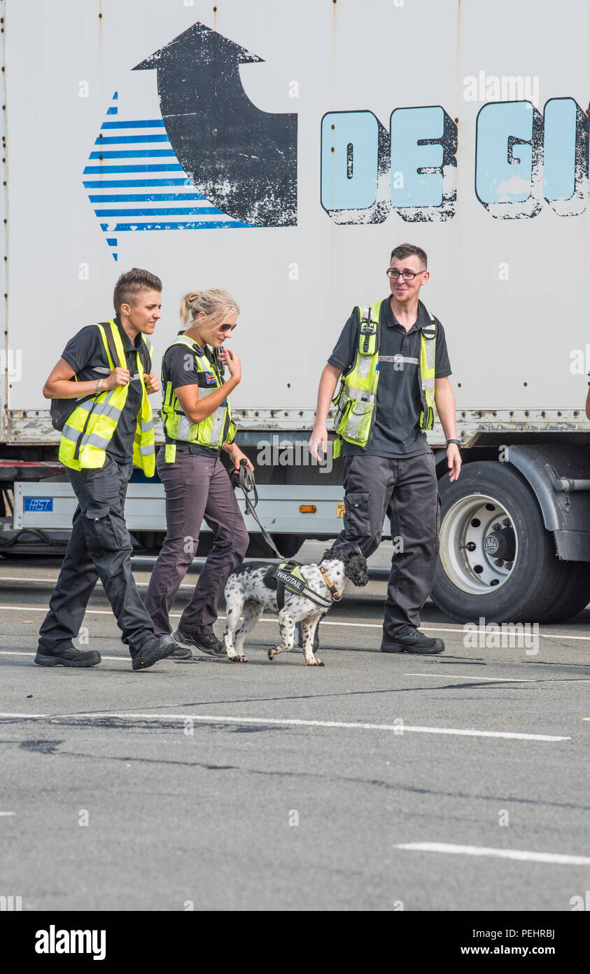Sniffer cane e il gestore equipaggio per esaminare un camion al porto di Calais, in Francia, per gli immigrati clandestini. Foto Stock