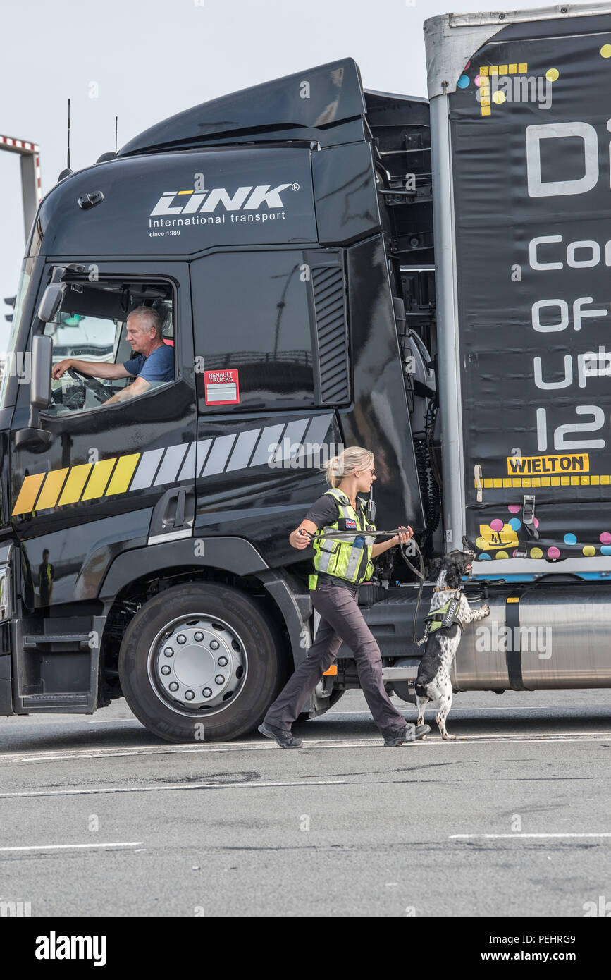 Sniffer cane e il gestore esaminare un camion al porto di Calais, in Francia, per gli immigrati clandestini. Foto Stock