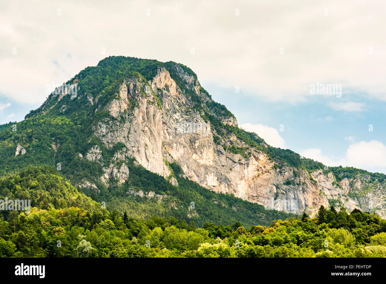 Guardando il Monte Lefèvre in Valsugana, Trentino, Italia Foto Stock