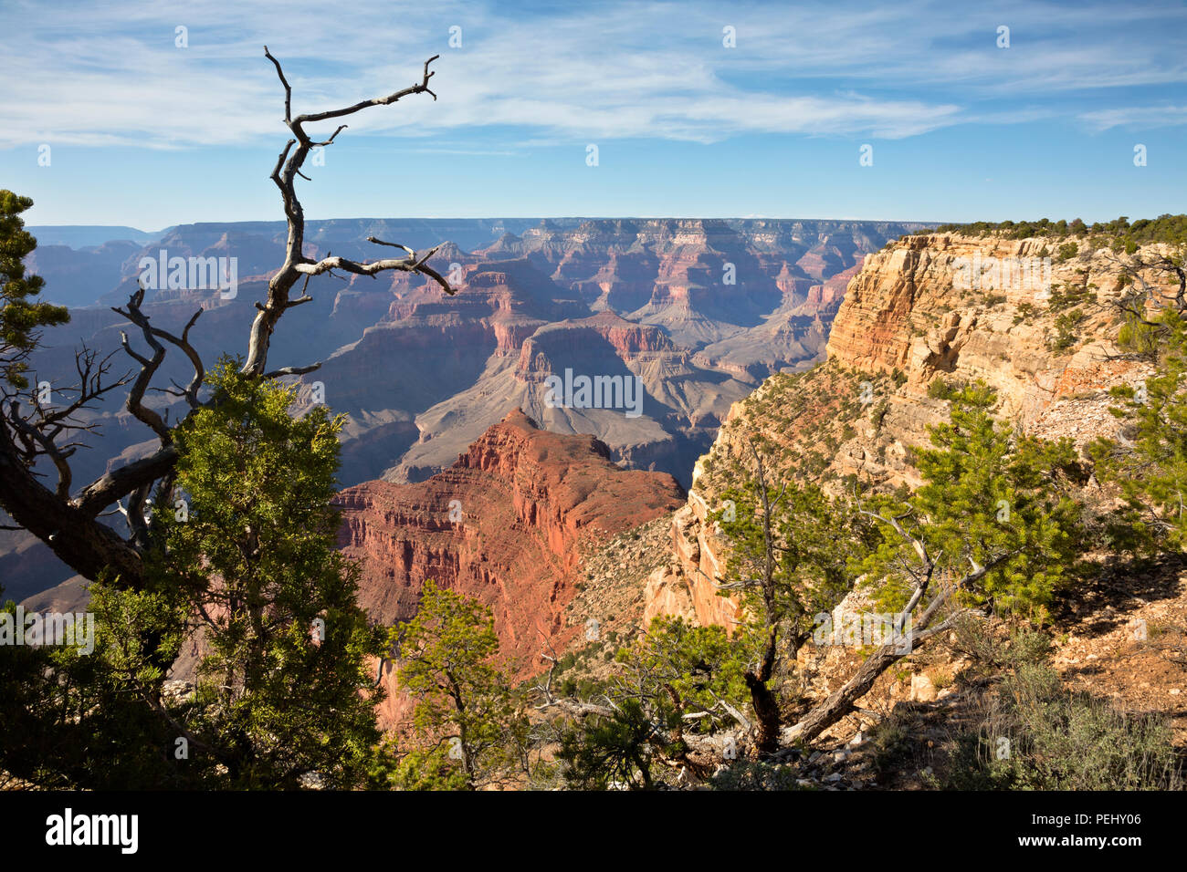 AZ00270-00...ARIZONA - Vista del fiume Colorado da Rim Trail vicino l'Abisso, situato lungo la strada eremita nel Parco Nazionale del Grand Canyon. Foto Stock