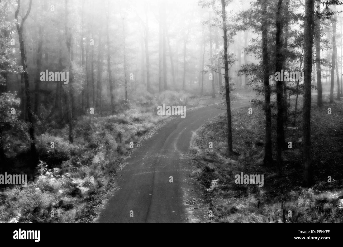 Blairsville Georgia road nebbia Foto Stock