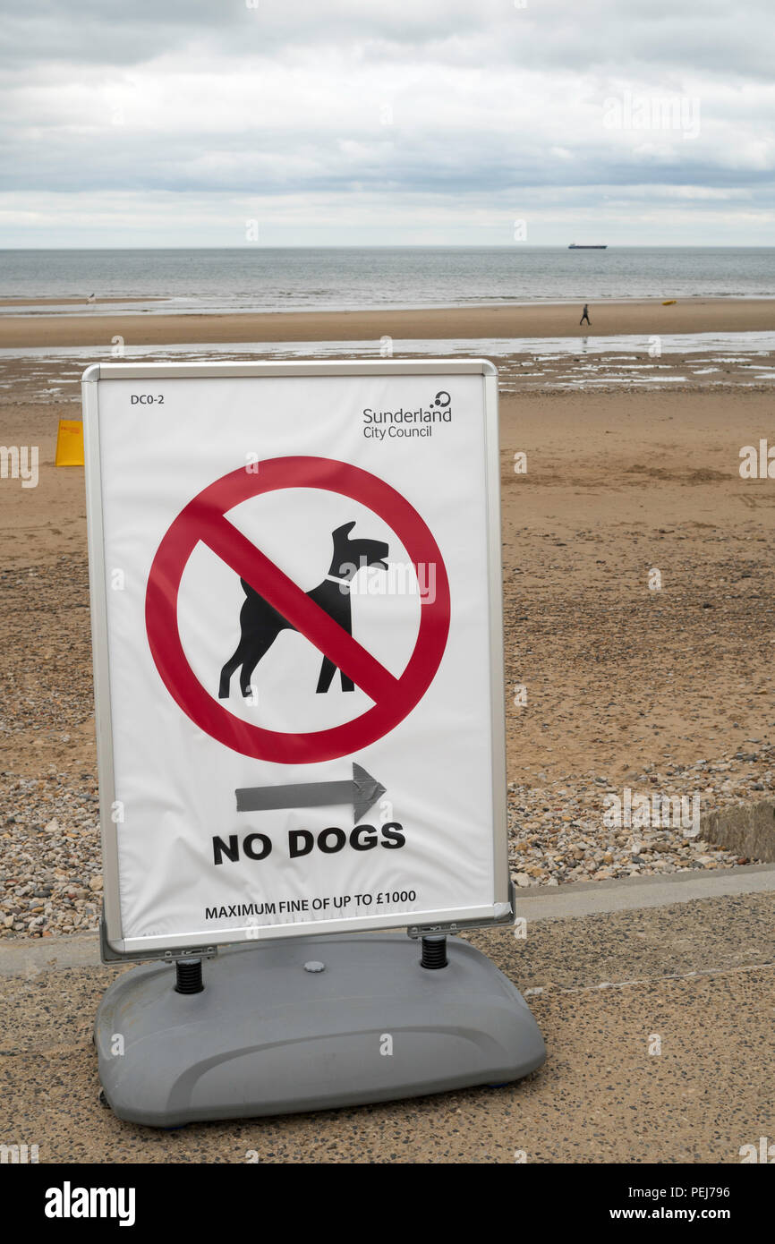 No cani sulla spiaggia segno, Seaburn, Sunderland, England, Regno Unito Foto Stock