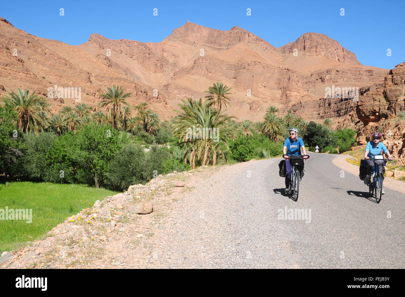 Due ciclisti che rotolano lungo la strada nei pressi dell'Oasi Villaggio di Mendassa nell'Anti-Atlas montagne. Colture e palme prosperano in irriguo fondo valle Foto Stock