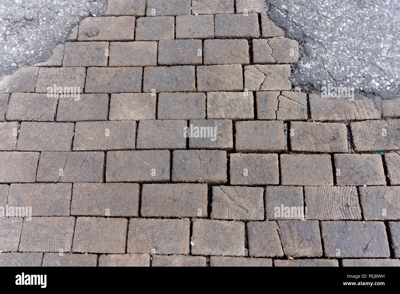 Vecchia pavimentazione in legno blocchi su una strada del centro cittadino di Eastside di Vancouver, BC, Canada Foto Stock